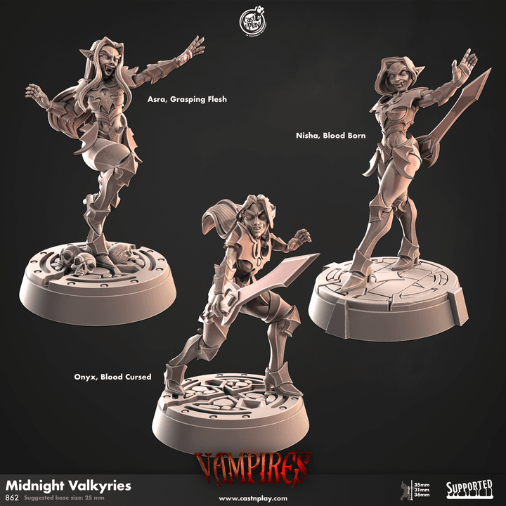 Midnight Valkyries - Kiwi Tabletop