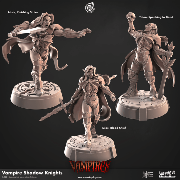 Vampire Shadow Knights - Kiwi Tabletop