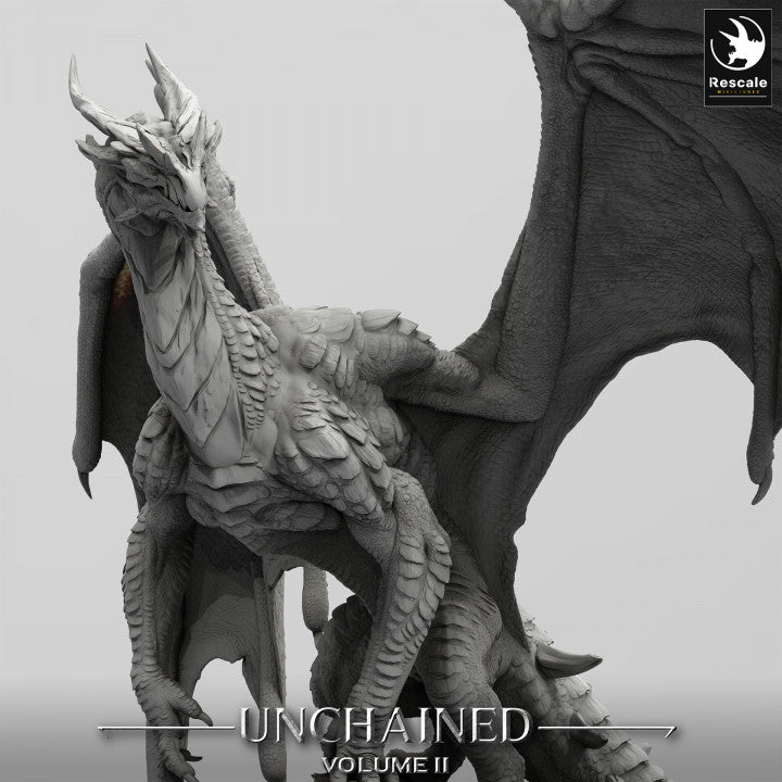 Xeldranth, Armoured Dragon
