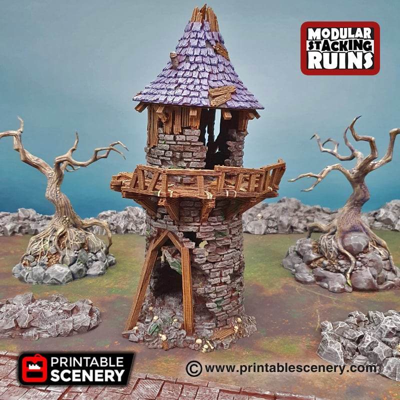 Shadowfey Ruins - Hermit's Tower - Kiwi Tabletop