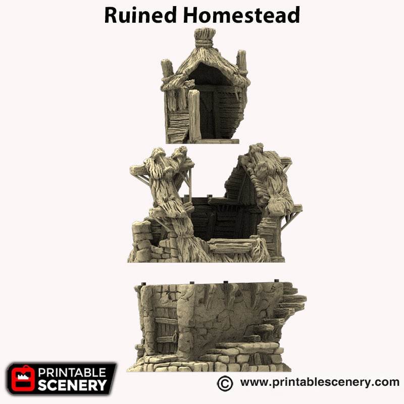 Hagglethorn Hollow - Ruined Homestead - Kiwi Tabletop