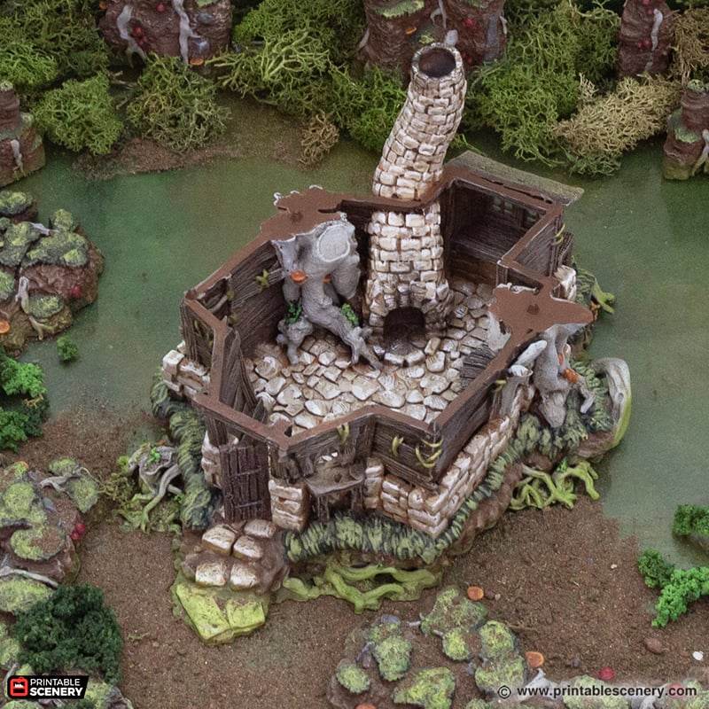 Swamp Wizard's Hut - Kiwi Tabletop