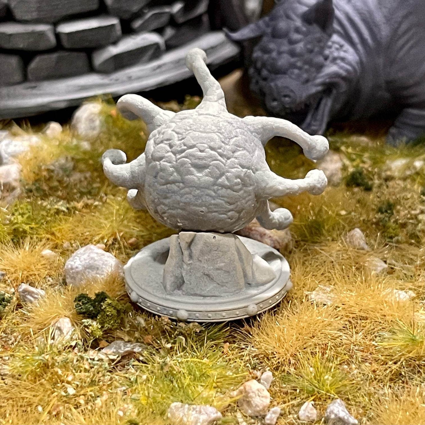 Beholder - Kiwi Tabletop