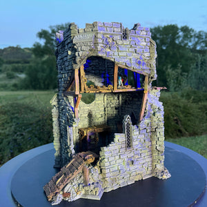 Shadowfey Ruins - Tower of Insanity - Kiwi Tabletop