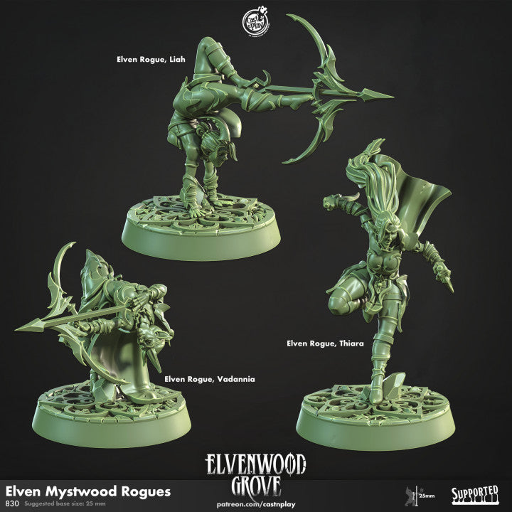 Elven Mystwood Rogue