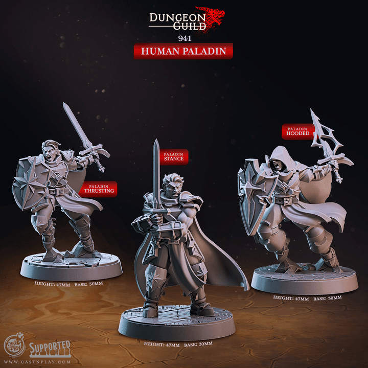 Human Paladin – Kiwi Tabletop