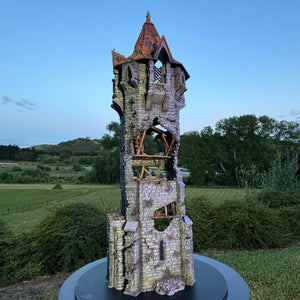 Shadowfey Ruins - Tower of Insanity - Kiwi Tabletop