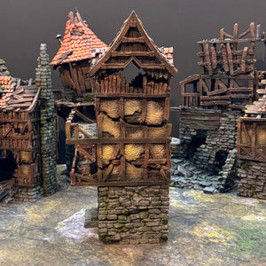 Shadowfey Ruins - Murder Row - Kiwi Tabletop