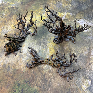 Cities of Ramshackle and Ruin - Blasted Trees - Kiwi Tabletop
