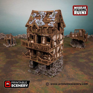 Shadowfey Ruins - Murder Row - Kiwi Tabletop