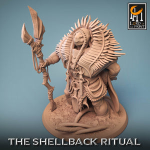 Shellback Shaman - Kiwi Tabletop
