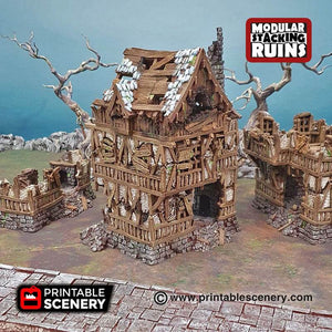 Shadowfey Ruins - Squatter House - Kiwi Tabletop