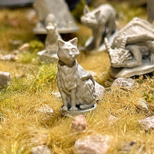 Animal Companions/Familiars - Kiwi Tabletop