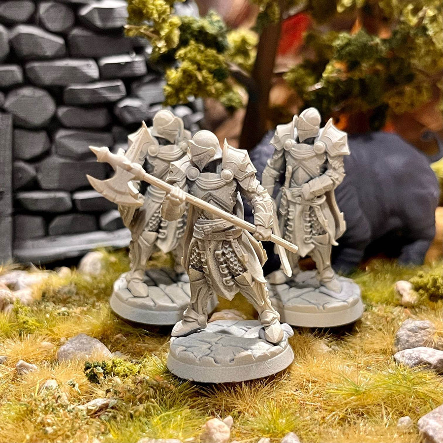Blue Cape Knights