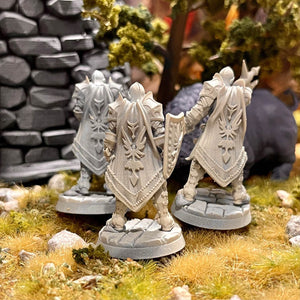 Blue Cape Knights - Kiwi Tabletop