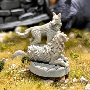 Key Doggos - Kiwi Tabletop